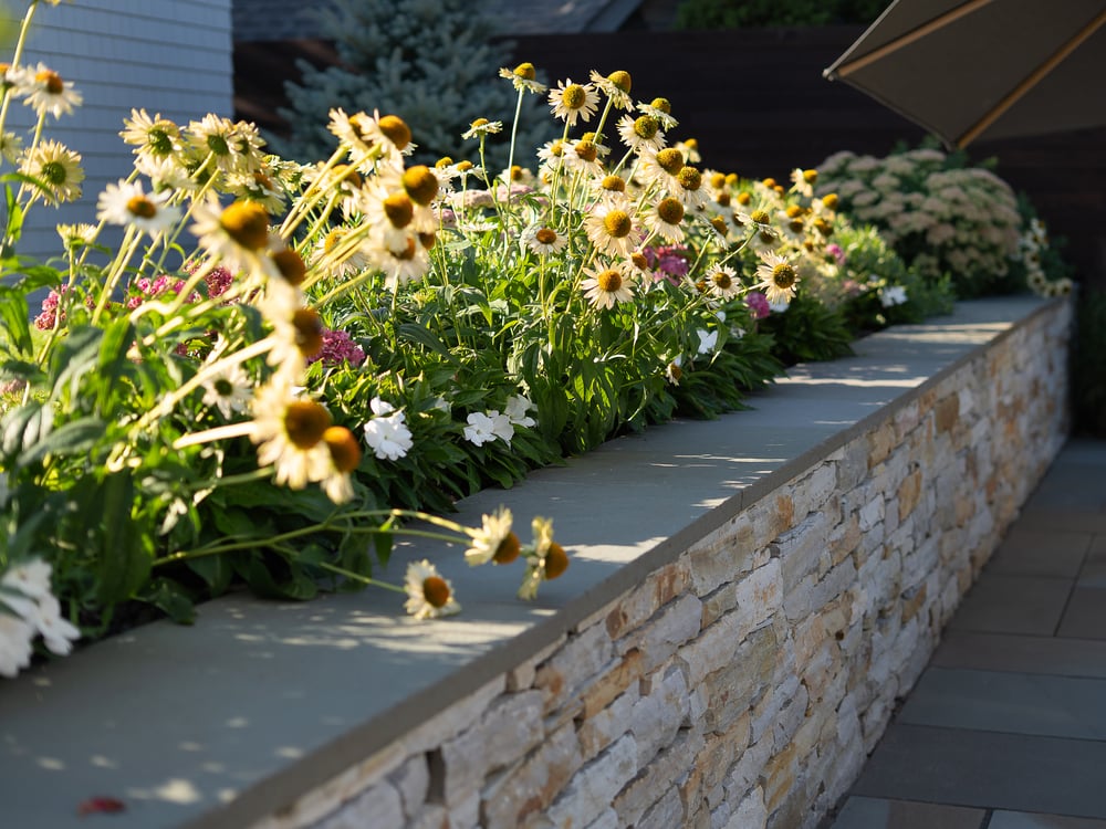 COUR - PAYSAGE LAMBERT - ENTRE PIERRES ET LUMIÈRE - 5