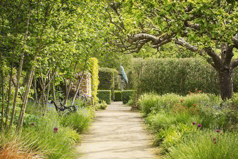 a-path-between-flower-borders-in-garden-2022-03-04-02-39-46-utc